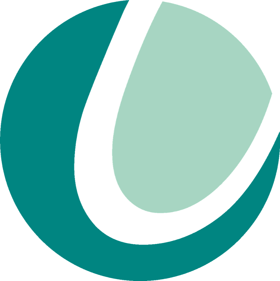 Icon Logo